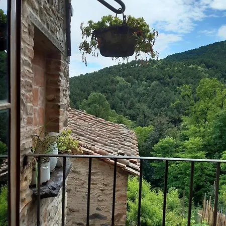 Del Capo Capannori
